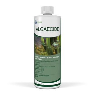 96024-Algaecide-32oz