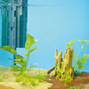 OASE BioPlus 200 Aquarium Filter-1a