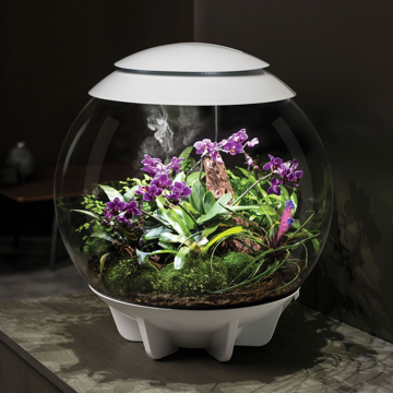 BiOrb Air LED Terrarium